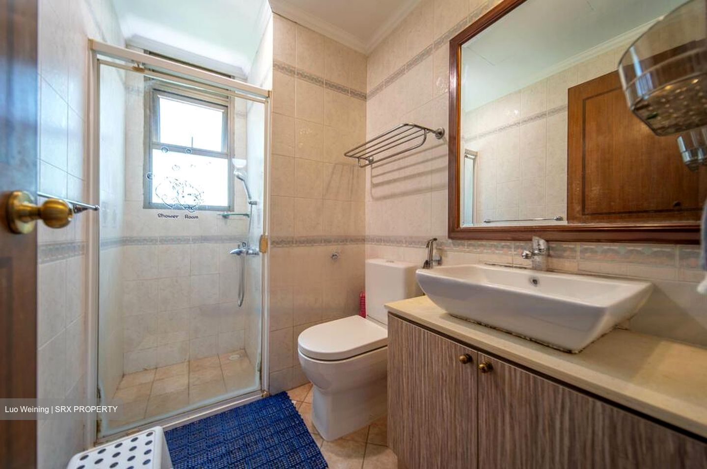 Hillbrooks (D23), Condominium #477199501